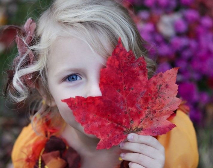 Canadian maple leaf